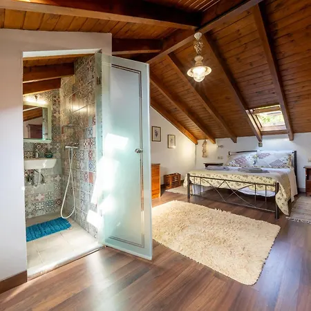 Apollo By Guestcorfu *