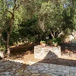 Apollo In Barbati By Guestcorfu