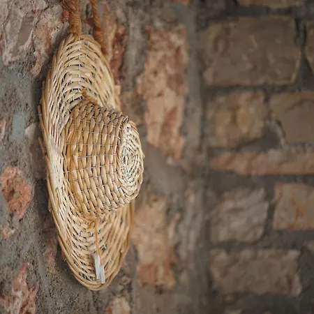 Apollo By Guestcorfu