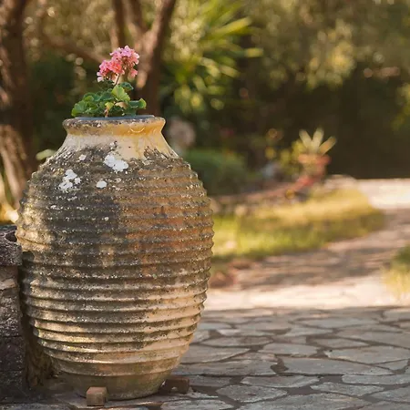 Apollo In Barbati By Guestcorfu Vilă