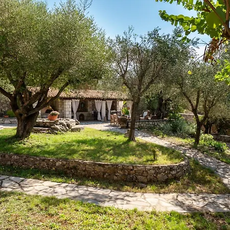 Apollo By Guestcorfu